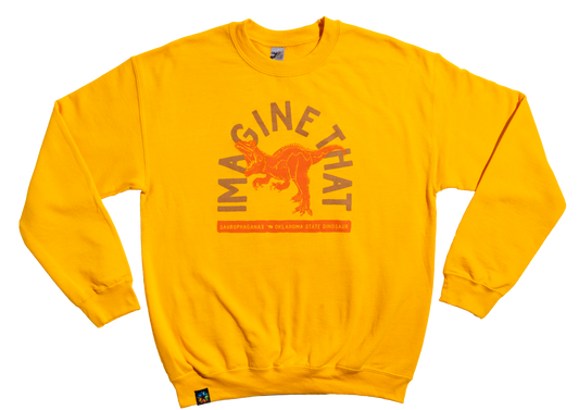 "Imagine That" Dino Crewneck Sweatshirt